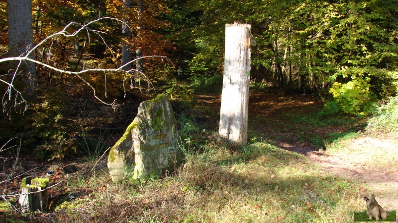 Ritterstein Nr. 224-4a Alte Straße - Falkenburger Steige.JPG - Ritterstein Nr.224 Alte Straße - Falkenburger Steige